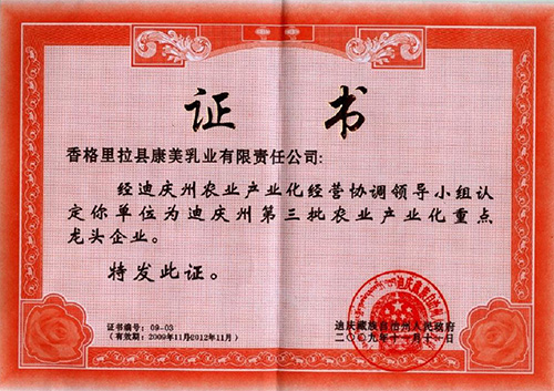 公司榮譽
